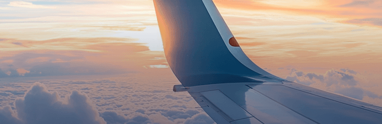 Sourcing, the immediate decarbonization lever for aviation